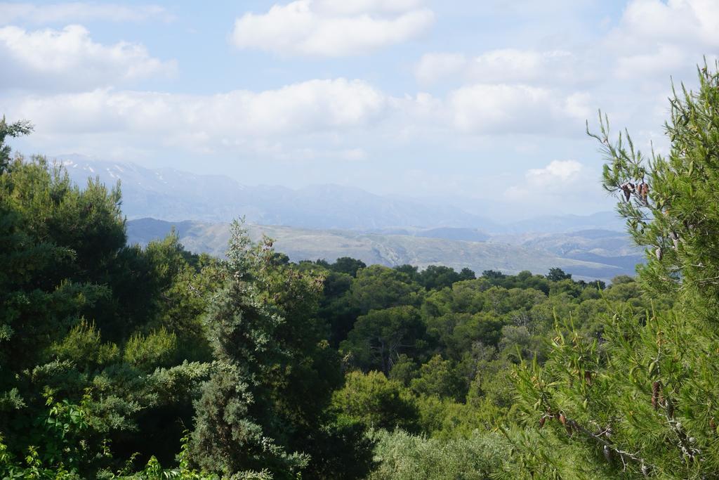 Monte Vardia La Canea Camera foto